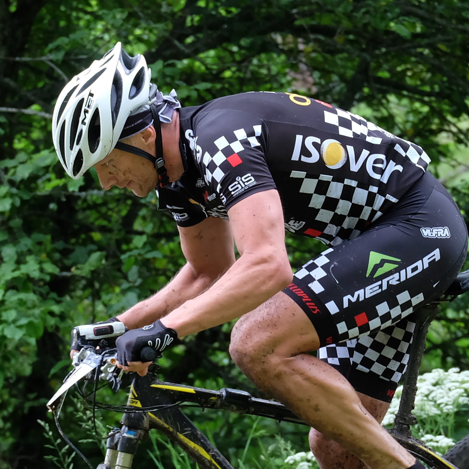 Oliver Öpik